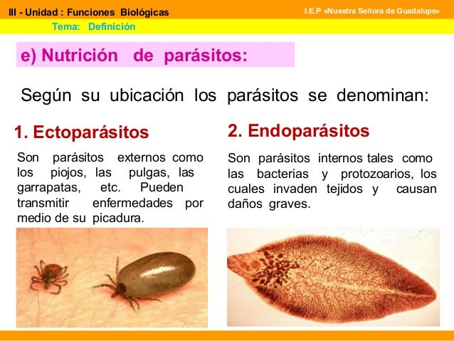 Función de nutrición