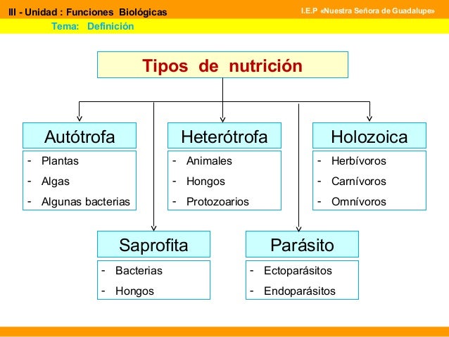 Función de nutrición