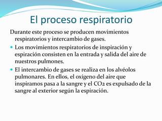 El proceso respiratorio
Durante este proceso se producen movimientos
respiratorios y intercambio de gases.
 Los movimientos respiratorios de inspiración y
espiración consisten en la entrada y salida del aire de
nuestros pulmones.
 El intercambio de gases se realiza en los alvéolos
pulmonares. En ellos, el oxígeno del aire que
inspiramos pasa a la sangre y el CO2 es expulsado de la
sangre al exterior según la espiración.
 