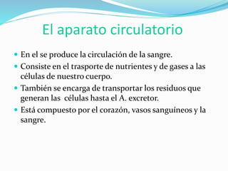 El aparato circulatorio
 En el se produce la circulación de la sangre.
 Consiste en el trasporte de nutrientes y de gases a las
células de nuestro cuerpo.
 También se encarga de transportar los residuos que
generan las células hasta el A. excretor.
 Está compuesto por el corazón, vasos sanguíneos y la
sangre.
 