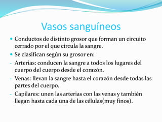 Vasos sanguíneos
 Conductos de distinto grosor que forman un circuito
cerrado por el que circula la sangre.
 Se clasifican según su grosor en:
- Arterias: conducen la sangre a todos los lugares del
cuerpo del cuerpo desde el corazón.
- Venas: llevan la sangre hasta el corazón desde todas las
partes del cuerpo.
- Capilares: unen las arterias con las venas y también
llegan hasta cada una de las células(muy finos).
 