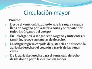 Circulación mayor
Proceso:
1. Desde el ventrículo izquierdo sale la sangre cargada
llena de oxígeno por la arteria aorta y se reparte por
todos los órganos del cuerpo.
2. En los órganos la sangre cede oxígeno y nutrientes, y
también, recoge sustancias de desecho.
3. La sangre regresa cargada de sustancias de desecho la
aurícula derecha del corazón a través de las venas
cavas.
4. De la aurícula derecha pasa el ventrículo derecho,
desde donde parte la circulación menor.
 