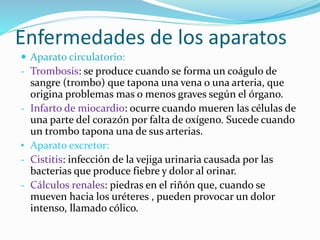 Enfermedades de los aparatos
 Aparato circulatorio:
- Trombosis: se produce cuando se forma un coágulo de
sangre (trombo) que tapona una vena o una arteria, que
origina problemas mas o menos graves según el órgano.
- Infarto de miocardio: ocurre cuando mueren las células de
una parte del corazón por falta de oxígeno. Sucede cuando
un trombo tapona una de sus arterias.
• Aparato excretor:
- Cistitis: infección de la vejiga urinaria causada por las
bacterias que produce fiebre y dolor al orinar.
- Cálculos renales: piedras en el riñón que, cuando se
mueven hacia los uréteres , pueden provocar un dolor
intenso, llamado cólico.
 