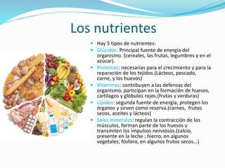 Los nutrientes
 Hay 5 tipos de nutrientes:
 Glúcidos: Principal fuente de energía del
organismo. (cereales, las frutas, legumbres y en el
azúcar).
 Proteínas: necesarias para el crecimiento y para la
reparación de los tejidos.(Lácteos, pescado,
carne, y los huevos)
 Vitaminas: contribuyen a las defensas del
organismo, participan en la formación de huesos,
cartílagos y glóbulos rojos.(frutas y verduras)
 Lípidos: segunda fuente de energía, protegen los
órganos y sirven como reserva.(carnes, frutos
secos, aceites y lácteos)
 Sales minerales: regulan la contracción de los
músculos, forman parte de los huesos y
transmiten los impulsos nerviosos.(calcio,
presente en la leche ; hierro, en algunos
vegetales; fósforo, en algunos frutos secos…)
 