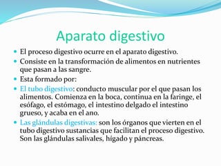 Aparato digestivo
 El proceso digestivo ocurre en el aparato digestivo.
 Consiste en la transformación de alimentos en nutrientes
que pasan a las sangre.
 Esta formado por:
 El tubo digestivo: conducto muscular por el que pasan los
alimentos. Comienza en la boca, continua en la faringe, el
esófago, el estómago, el intestino delgado el intestino
grueso, y acaba en el ano.
 Las glándulas digestivas: son los órganos que vierten en el
tubo digestivo sustancias que facilitan el proceso digestivo.
Son las glándulas salivales, hígado y páncreas.
 