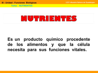 Es un producto químico procedente
de los alimentos y que la célula
necesita para sus funciones vitales.
III - Unidad : Funciones Biológicas
Tema: NUTRIENTES
I.E.P «Nuestra Señora de Guadalupe»
 
