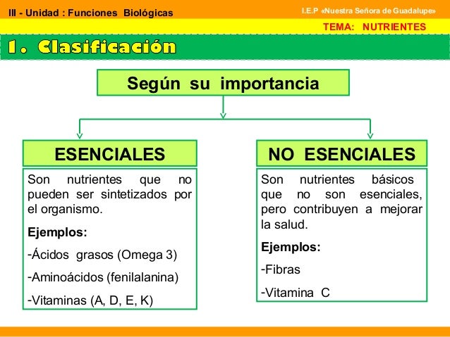 Función de nutrición