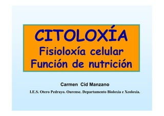 CITOLOXÍA
 Fisioloxía celular
Función de nutrición
                 Carmen Cid Manzano
I.E.S. Otero Pedrayo. Ourense. Departamento Bioloxía e Xeoloxía.
 