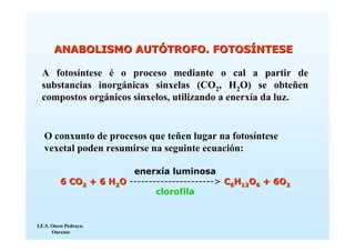 ANABOLISMO AUTÓTROFO. FOTOSÍNTESE

  A fotosíntese é o proceso mediante o cal a partir de
  substancias inorgánicas sinxelas (CO2, H2O) se obteñen
  compostos orgánicos sinxelos, utilizando a enerxía da luz.


   O conxunto de procesos que teñen lugar na fotosíntese
   vexetal poden resumirse na seguinte ecuación:

                         enerxía luminosa
          6 CO2 + 6 H2O ----------------------> C6H12O6 + 6O2
                               clorofila


I.E.S. Otero Pedrayo.
       Ourense
 
