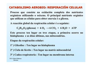 CATABOLISMO AEROBIO: RESPIRACIÓN CELULAR
 Proceso que consiste na oxidación completa dos nutrientes
 orgánicos utilizando o osíxeno. O principal nutriente orgánico
 que utilizan as células para obter enerxía é a glicosa.
 A reacción global da respiración celular é a seguinte:
            C6H12O6 (glicosa) + 6 O2 → 6 CO2 + 6 H2O + ATP
 Este proceso ten lugar en tres etapas, a primeira ocorre no
 hialoplasma e as dúas últimas, nas mitocondrias.
 Etapas da respiración celular:
 1ª ) Glicolise : Ten lugar no hialoplasma
 2ª ) Ciclo de Krebs : Ten lugar na matriz mitocondrial
 3ª ) Cadea respiratoria : Ten lugar na membrana interna
I.E.S. Otero Pedrayo.
       Ourense
 