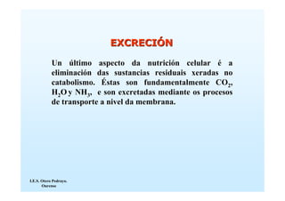 EXCRECIÓN

            Un último aspecto da nutrición celular é a
            eliminación das sustancias residuais xeradas no
            catabolismo. Éstas son fundamentalmente CO2,
            H2O y NH3, e son excretadas mediante os procesos
            de transporte a nivel da membrana.




I.E.S. Otero Pedrayo.
       Ourense
 