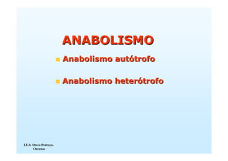 ANABOLISMO
                        Anabolismo autótrofo

                        Anabolismo heterótrofo




I.E.S. Otero Pedrayo.
       Ourense
 