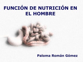 FUNCIÓN DE NUTRICIÓN EN EL HOMBRE Paloma Román Gómez 
