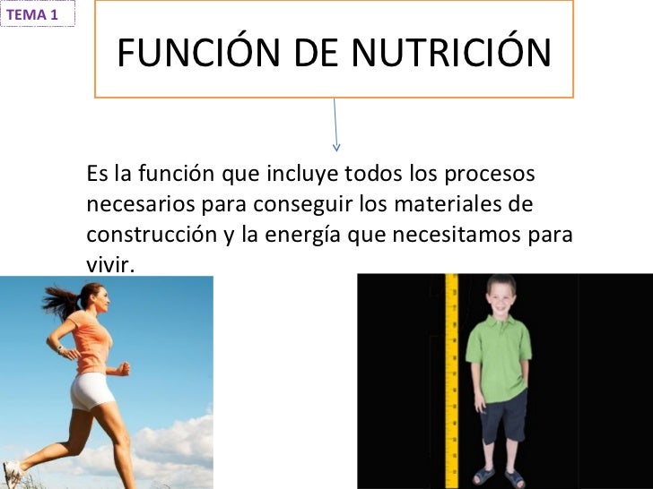 Función de nutrición I