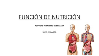 FUNCIÓN DE NUTRICIÓN
ACTIVIDAD PARA SEXTO DE PRIMARIA
SILVIA CERRAJERO
 