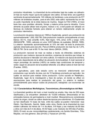 productos industriales. La diversidad de los ambientes bajo los cuales es cultivado
el maíz es mucho mayor que la de cualquier otro cultivo. El maíz tenía una superficie
sembrada de aproximadamente 140 millones de hectáreas y una producción de 577
millones de toneladas anuales, para el año 2002, este cultivo representa hoy en día
es parte importante de la dieta básica de muchos. Según la FAO (1993), el maíz
tiene tres usos posibles: alimento, forraje y materia prima para la industria. Como
alimento se puede utilizar todo el grano, maduro o no, o bien puede ser utilizado en
técnicas de molienda húmeda para obtener un número relativamente amplio de
productos intermedios.
La producción de granos básicos en 1999 en Guatemala, generó una producción de
aproximadamente 1,992, 850 TM. Esta producción involucra principalmente al maíz
blanco: 83.1%, maíz amarillo: 0.8%, frijol negro: 10%, arroz: 2.6% y sorgo: 3.6%
(MAGA/UPIE, 1999), valorada en unos 3,857millones de quetzales (MAGA 1999).
Lo anterior representa aproximadamente el 10% del valor de toda la producción
agrícola observada para ese año. Para el 2006 la producción de maíz fue de 1,375,
986.20 TM. De la cual el 86.1% fue maíz blanco (MAGA, 2008).
La producción nacional de maíz se realiza a través de diferentes sistemas de
producción que involucra épocas de siembra y sistemas de siembra que incluye la
práctica de asociar e intercalar con otros cultivos. En relación a la época de siembra,
esta varía dependiendo de la altitud de ubicación de la localidad. A nivel nacional el
mayor porcentaje de siembra (>80%) se realiza bajo condiciones de temporal y
varían según la ubicación de la localidad referente a la altitud sobre el nivel del mar
(Fuentes, 2002).
Los agricultores, para este estudio como se mencionó anteriormente son
productores cuyo tamaño de área, son de 10 hectáreas promedio por agricultor, los
cuales se asocian para realizar dicha producción. Como sucede en Retalhuleu,
Guatemala, lugar de la investigación y fase de campo, en donde se afilian en
asociaciones para realizar la producción del grano. Lo anterior lo realizan
primordialmente para reducir costos de producción, trabajando con economías de
escala.
1.2.1 Características Morfológicas, Taxonómicas y Bromatológicas del Maíz
La diversidad genética del maíz a nivel mundial es amplia. Hay más de 250 razas
clasificadas y se encuentran alrededor de 10,000 entradas almacenadas en los
principales bancos de germoplasma a nivel mundial. Mesoamérica es considerada
centro de origen, donde se cultiva desde las épocas pre-colombinas. En Guatemala
se han clasificado 13 razas de maíz, entre las cuáles se pueden mencionar: raza
Olotón, San Marceño, Quiché, Naltel, entre otros. Dentro de la diversidad de maíz
existen cultivares de menos de 1 m de altura, 8-9 hojas y una madurez de 60 días
y otros con más de 5 m de altura, 40-42 hojas y una madurez de 340 días (Fuentes,
2002). El maíz es una monocotiledónea perteneciente a la familia Gramínea, Tribu
Maydae, con dos géneros: Zea (2n=20) y Tripsacum (2n=36).
 
