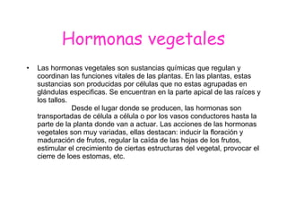 Hormonas vegetales Las hormonas vegetales son sustancias químicas que regulan y coordinan las funciones vitales de las plantas. En las plantas, estas sustancias son producidas por células que no estas agrupadas en glándulas especificas. Se encuentran en la parte apical de las raíces y los tallos.  Desde el lugar donde se producen, las hormonas son transportadas de célula a célula o por los vasos conductores hasta la parte de la planta donde van a actuar. Las acciones de las hormonas vegetales son muy variadas, ellas destacan: inducir la floración y maduración de frutos, regular la caída de las hojas de los frutos, estimular el crecimiento de ciertas estructuras del vegetal, provocar el cierre de loes estomas, etc. 