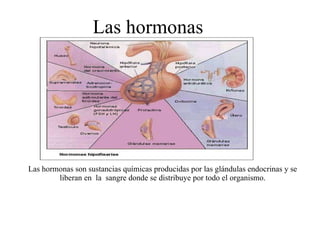 Las hormonas Las hormonas son sustancias químicas producidas por las glándulas endocrinas y se liberan en  la  sangre donde se distribuye por todo el organismo. 