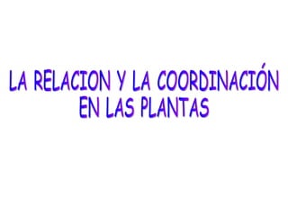 LA RELACION Y LA COORDINACIÓN EN LAS PLANTAS 