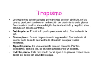 Tropismo Los tropismos son respuestas permanentes ante un estimulo, en las que se producen cambios en la dirección del crecimiento de la planta. Se considera positivo si esta dirigido hacia el estimulo y negativo si se produce en sentido contrario. Fototropismo:  El estimulo que lo provoca es la luz. Crecen hacia la luz. Geotropismo:  Es una respuesta ante la gravedad. Crecen hacia el interior de la tierra lo que facilita la obtención de agua y sales minerales. Tigmotropismo:  Es una respuesta ante un contacto. Plantas trepadoras, como la vid, se enrollan alrededor de un soporte. Hidrotropismo:  Esta provocado por el agua. Las plantas crecen hacia zonas del suelo con abundante agua. 