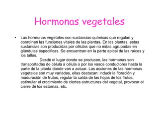 Hormonas vegetales Las hormonas vegetales son sustancias químicas que regulan y coordinan las funciones vitales de las plantas. En las plantas, estas sustancias son producidas por células que no estas agrupadas en glándulas especificas. Se encuentran en la parte apical de las raíces y los tallos.  Desde el lugar donde se producen, las hormonas son transportadas de célula a célula o por los vasos conductores hasta la parte de la planta donde van a actuar. Las acciones de las hormonas vegetales son muy variadas, ellas destacan: inducir la floración y maduración de frutos, regular la caída de las hojas de los frutos, estimular el crecimiento de ciertas estructuras del vegetal, provocar el cierre de los estomas, etc. 