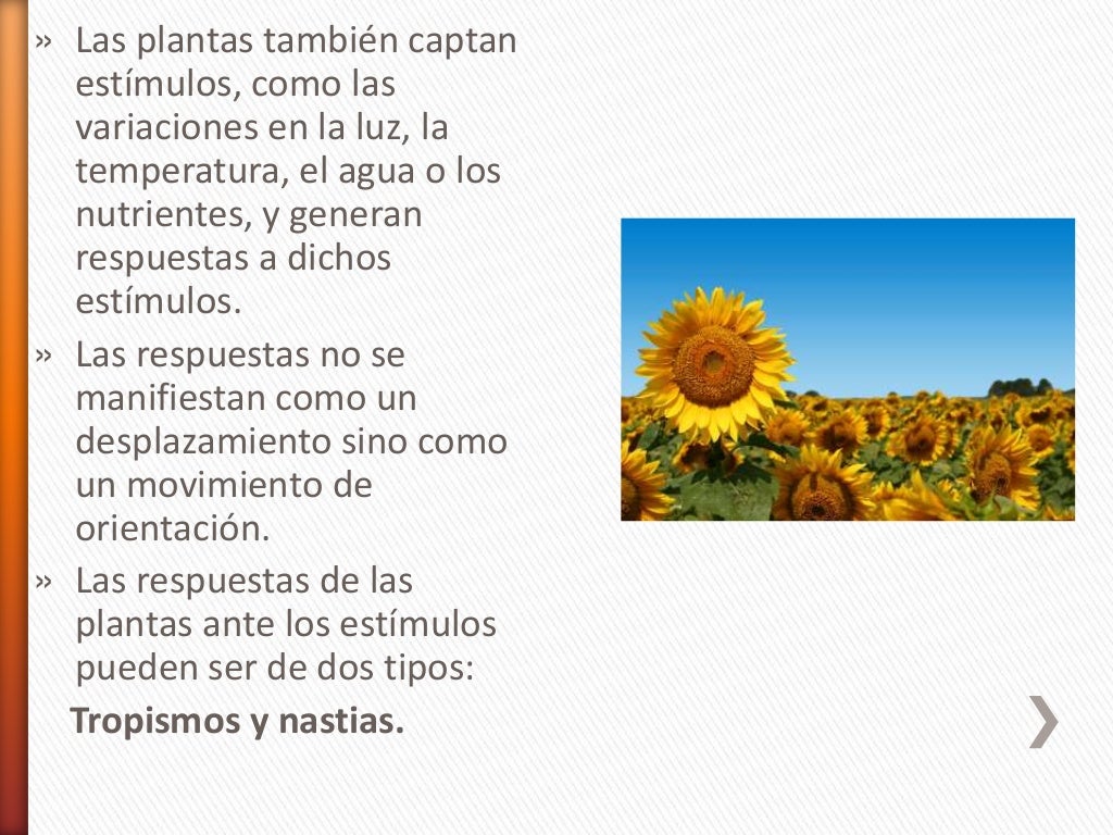 Función de relación en las plantas