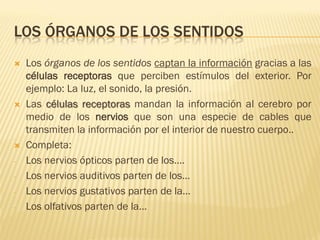 LOS ÓRGANOS DE LOS SENTIDOS
   Los órganos de los sentidos captan la información gracias a las
    células receptoras que...