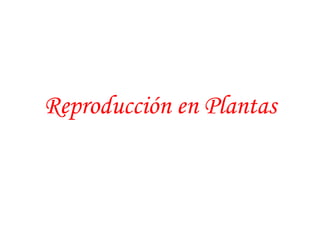Reproducción en Plantas
 