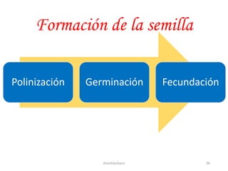 Formación de la semilla
Polinización Germinación Fecundación
36JhoniDavGonz
 