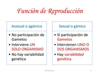 Función de Reproducción
Asexual o agámica
• No participación de
Gametos
• Interviene UN
SOLO ORGANISMO
• No hay variabilidad
genética
Sexual o gámica
• SI participación de
Gametos
• Intervienen UNO O
DOS ORGANISMOS
• Hay variabilidad
genética
4JhoniDavGonz
 
