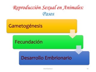 Reproducción Sexual en Animales:
Pasos
45JhoniDavGonz
 