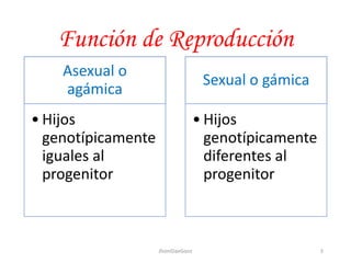 Función de Reproducción
Asexual o
agámica
• Hijos
genotípicamente
iguales al
progenitor
Sexual o gámica
• Hijos
genotípicamente
diferentes al
progenitor
5JhoniDavGonz
 