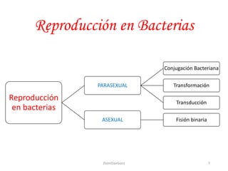 Reproducción en Bacterias
Reproducción
en bacterias
PARASEXUAL
Conjugación Bacteriana
Transformación
Transducción
ASEXUAL Fisión binaria
7JhoniDavGonz
 