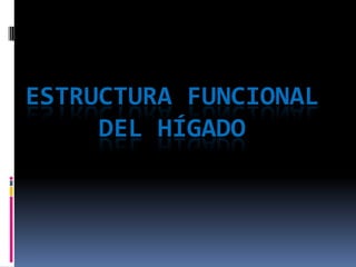 ESTRUCTURA FUNCIONAL
DEL HÍGADO

 