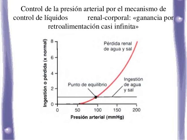 Imagen relacionada