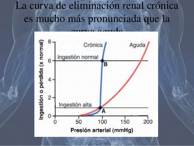 Resultado de imagen para La curva de eliminación renal crónica
