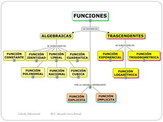 Comprehensive Classification of Mathematical Functions in Differential ...