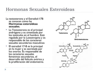 Hormonas Sexuales Esteroideas
La testosterona y el Estradiol-17B
se conocen como las
Hormonas esteroideas
sexuales.
 La Testosterona es el principal
andrógeno y es sintetizada por
los testículos en el hombre. Está
regulada por la Luteotropina y es
responsable de los caracteres
sexuales secundarios masculinos
 El estradiol 17-B es la principal
en la mujer y es secretada por
los ovarios. Es responsable de
los caracteres sexuales
femeninos secundarios, el
desarrollo del folículo ovárico y
la proliferación del endometrio.

 