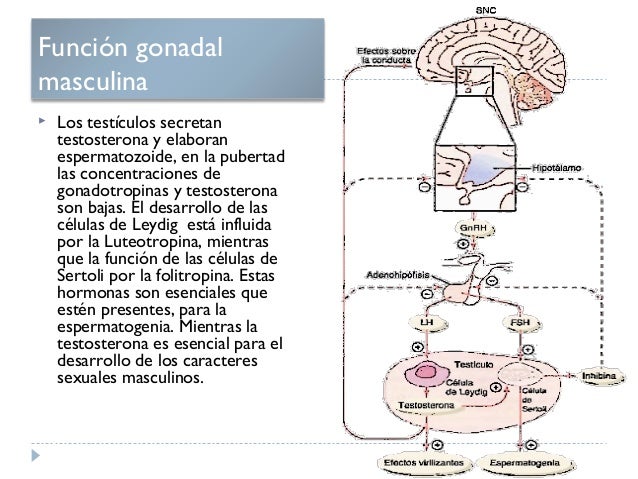 Sindrome Climaterico Pdf Download