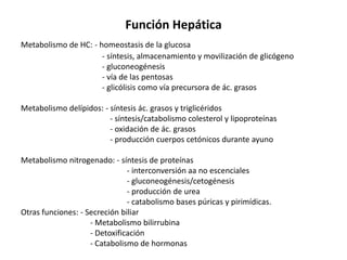 Función HepáticaMetabolismo de HC: - homeostasis de la glucosa		      - síntesis, almacenamiento y movilización de glicógeno		      - gluconeogénesis		      - vía de las pentosas		      - glicólisis como vía precursora de ác. grasosMetabolismo delípidos: - síntesis ác. grasos y triglicéridos		          - síntesis/catabolismo colesterol y lipoproteínas		          - oxidación de ác. grasos		          - producción cuerpos cetónicos durante ayunoMetabolismo nitrogenado: - síntesis de proteínas			 - interconversión aa no escenciales			 - gluconeogénesis/cetogénesis			 - producción de urea			 - catabolismo bases púricas y pirimídicas.Otras funciones: - Secreción biliar		- Metabolismo bilirrubina		- Detoxificación		- Catabolismo de hormonas