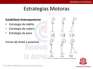 Estrategias Motoras
Estabilidad Anteroposterior
• Estrategia de tobillo
• Estrategia de cadera
• Estrategia de paso

Inician de distal a proximal
 