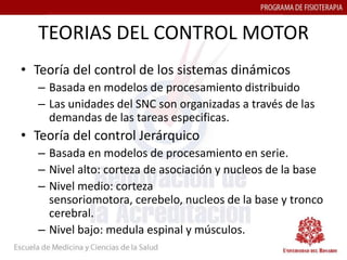 TEORIAS DEL CONTROL MOTOR
• Teoría del control de los sistemas dinámicos
   – Basada en modelos de procesamiento distribuido
   – Las unidades del SNC son organizadas a través de las
     demandas de las tareas especificas.
• Teoría del control Jerárquico
   – Basada en modelos de procesamiento en serie.
   – Nivel alto: corteza de asociación y nucleos de la base
   – Nivel medio: corteza
     sensoriomotora, cerebelo, nucleos de la base y tronco
     cerebral.
   – Nivel bajo: medula espinal y músculos.
 