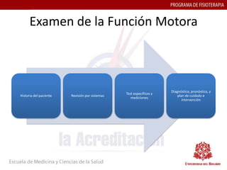 Examen de la Función Motora



                                                                     Diagnóstico, pronóstico, y
                                                Test específicos y
Historia del paciente   Revisión por sistemas                            plan de cuidado e
                                                   mediciones
                                                                            intervención
 