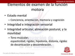 Elementos de examen de la función
               motora
• Estado mental
  – Conciencia, orientación, memoria y cognición
• Integridad e integración sensorial
• Integridad articular, alineación postural, y la
  movilidad
  – Tono muscular;
    espasticidad, rigidez, hipotonía, distonía, rigidez
    de decorticación y descerebración.
 