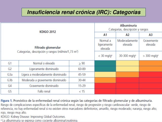 Función renal, IRC e Ionograma plasmático - Wendy Quiroz