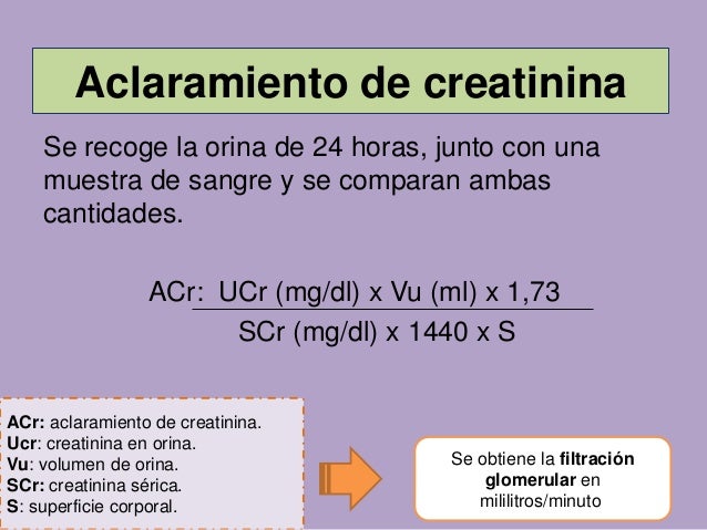 Función renal, IRC e Ionograma plasmático - Wendy Quiroz Función renal, IRC e Ionograma plasmático - Wendy Quiroz