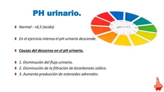 PH urinario.
Normal : <6,5 (acido)
En el ejercicio intenso el pH urinario desciende.
Causas del descenso en el pH urinario.
1. Disminución del flujo urinario.
2. Disminución de la filtración de bicarbonato sódico.
3. Aumento producción de esteroides adrenales.
 