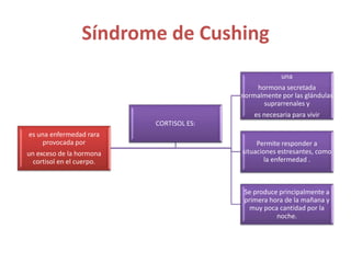 Síndrome de Cushing
es una enfermedad rara
provocada por
un exceso de la hormona
cortisol en el cuerpo.
una
hormona secretada
normalmente por las glándulas
suprarrenales y
es necesaria para vivir
Permite responder a
situaciones estresantes, como
la enfermedad .
Se produce principalmente a
primera hora de la mañana y
muy poca cantidad por la
noche.
CORTISOL ES:
 