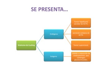 SE PRESENTA…
Síndrome de Cushing
Endógeno
Tumor hipofisario
secretor de ACTH.
secreción ectópica de
ACTH.
Tumor suprarrenal.
Exógeno
Debido a exposición de
medicamentos que
contengan
glucocorticoides.
 