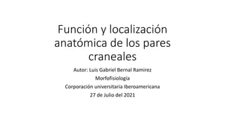 Función y localización
anatómica de los pares
craneales
Autor: Luis Gabriel Bernal Ramirez
Morfofisiología
Corporación universitaria Iberoamericana
27 de Julio del 2021
 